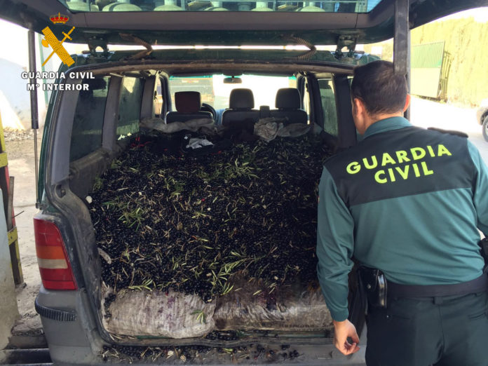 La Guardia Civil desarticula un grupo criminal dedicado al robo de aceituna en la provincia de Córdoba