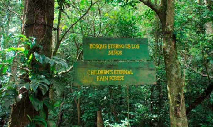 Unos niños salvan un bosque de Costa Rica gracias a la venta de galletas caseras