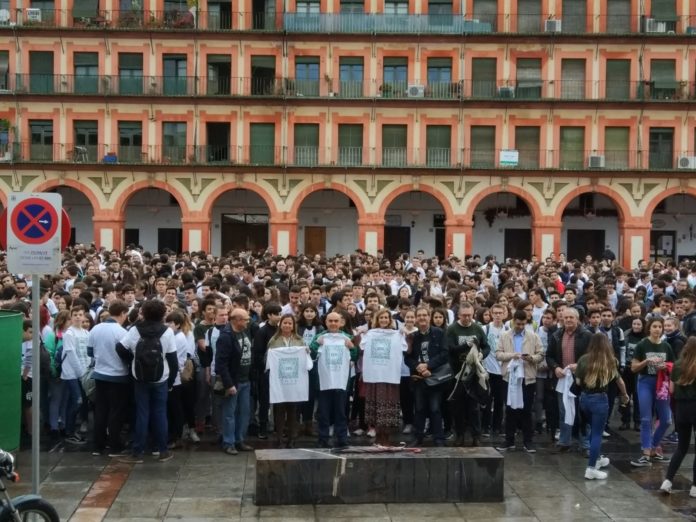 Más de 800 escolares de 32 centros se dan cita en la XXIV Gymkhana Matemática por Córdoba