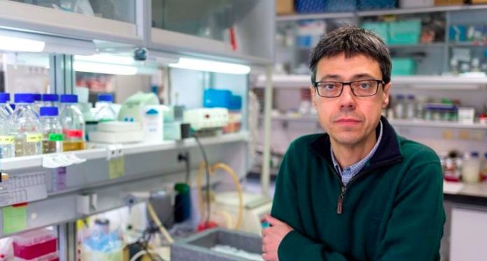 Investigadores españoles desvelan un mecanismo molecular que previene la Enfermedad de Crohn y la colitis ulcerosa