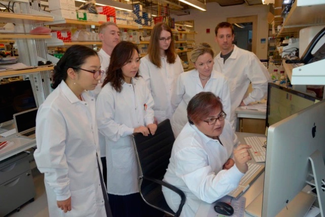 Investigadores crean un Atlas de Expresión Genética Multidimensional, que ofrece detalles sin precedentes en la progresión de la ELA Investigadores crean un Atlas de Expresión Genética Multidimensional, que ofrece detalles sin precedentes en la progresión de la ELA