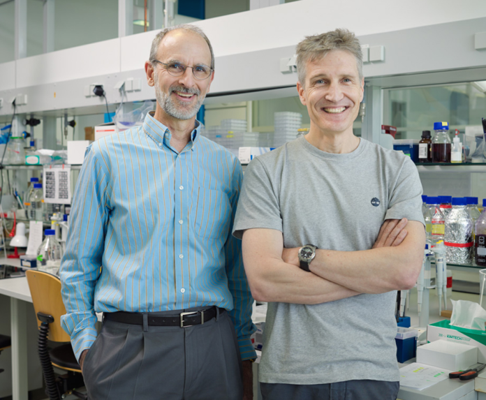 El test vigués para detectar alzhéimer, depresión y esclerosis en sangre