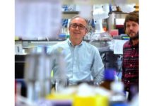 Científicos españoles avanzan en el tratamiento personalizado contra el cáncer al hallar un nuevo biomarcador