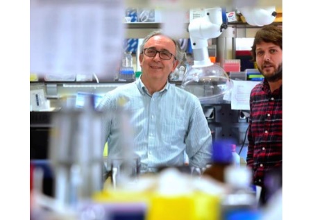 Científicos españoles avanzan en el tratamiento personalizado contra el cáncer al hallar un nuevo biomarcador