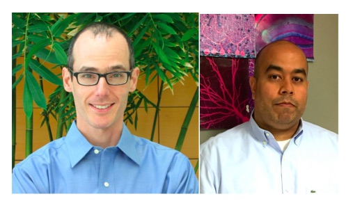 Nuevo enfoque terapéutico contra la ELA y la demencia frontotemporal Nuevo enfoque terapéutico contra la ELA y la demencia frontotemporal