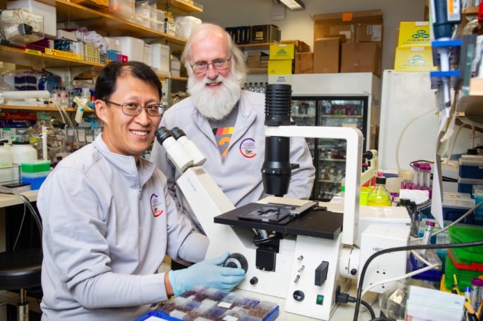 Científicos podrían haber descubierto el 