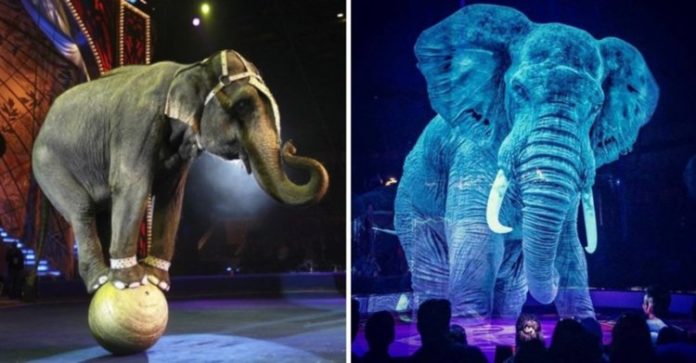 Un circo alemán sustituye animales cautivos por hologramas