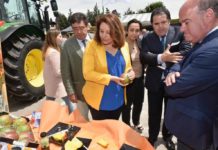 Crespo apuesta por continuar avanzando en la unión de los productores andaluces para ganar en tamaño y competitividad