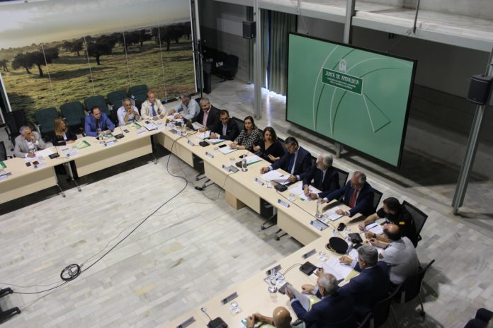 El Comité Asesor Regional del Plan Infoca repasa los detalles del dispositivo que se pone en marcha el 1 de junio