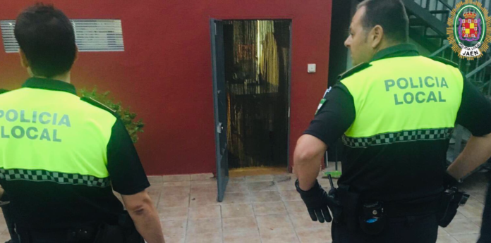 Rescatan a un buitre desorientado y desnutrido en el centro de Jaén