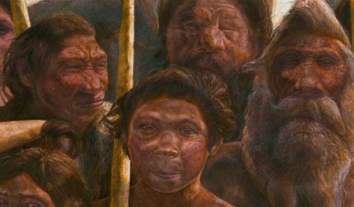 Descubren que los humanos de Atapuerca eran caníbales Descubren que los humanos de Atapuerca eran caníbales