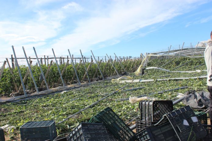 La Consejería de Agricultura solicita una corrección de errores al Gobierno central en la rebaja de módulos del IRPF publicada