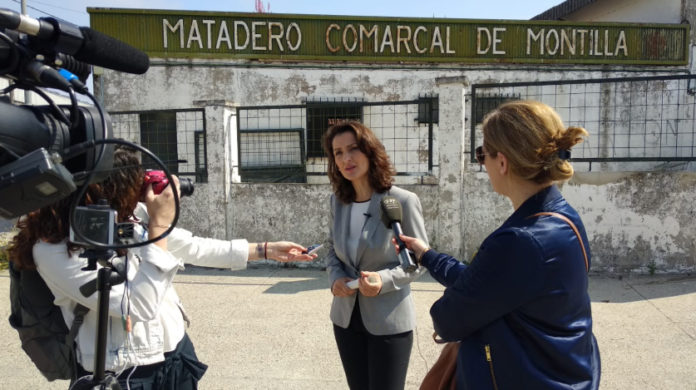 El PP de Montilla apuesta por 3.526 m2 para emprendedores