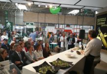 Las Denominaciones de Origen “Sierra de Segura” dan a conocer su aceite en el stand de la Consejería en Expoliva