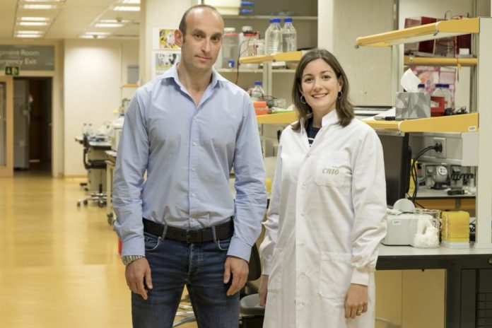 Investigadores del CNIO descubren una protección frente a los efectos secundarios de la radioterapia