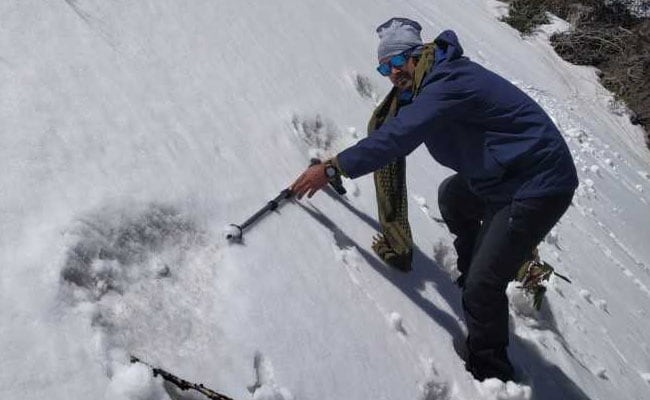 El Ejercito indio publica fotos afirmando que prueban la existencia del Yeti