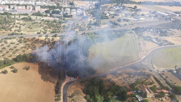 Extinguidos dos incendios agrícolas en Alcolea y Almodóvar del Río