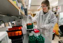 La vacuna contra el VIH, más cerca de su prueba en humanos tras nuevos hallazgos